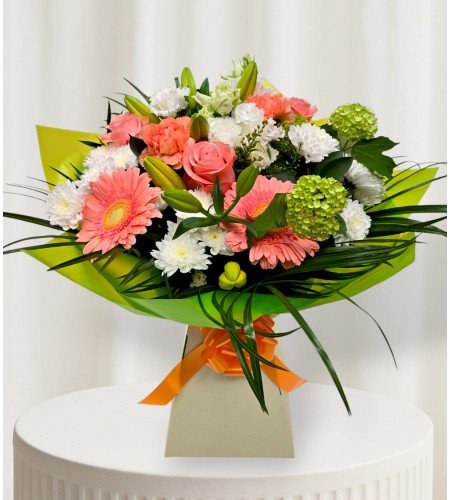 Dreamy Whirl Dreamy Whirl