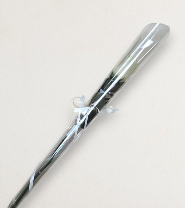 Single White Rose