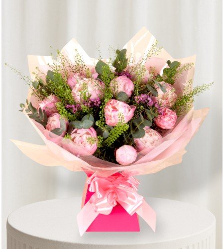 Peony Dream Peony Dream
