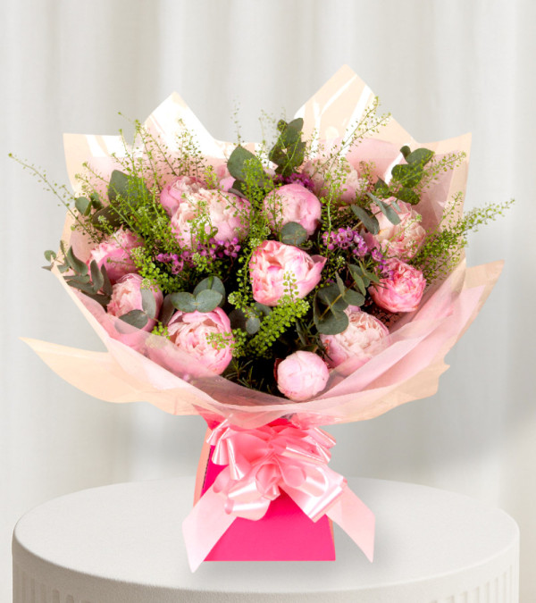 Peony Dream Peony Dream