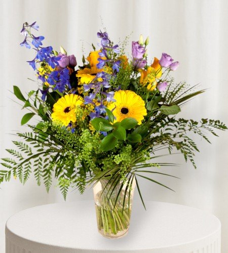 Free Spirit Free Spirit