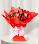 Tulip Symphony Tulip Symphony