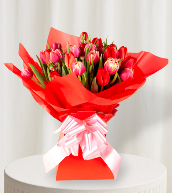 Tulip Symphony Tulip Symphony