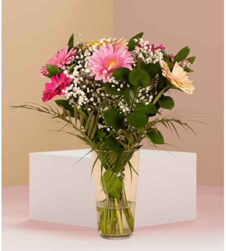 Gorgeous Gerbera
