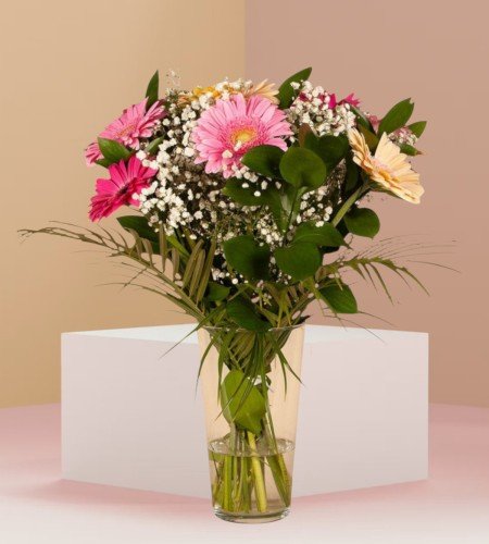 Gorgeous Gerbera Gorgeous Gerbera