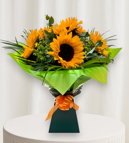 Sunflower Splash Sunflower Splash