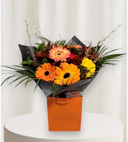 Autumnal Glow Autumnal Glow