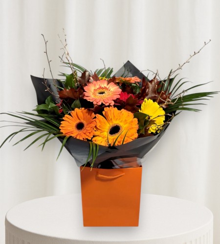 Autumnal Glow Autumnal Glow