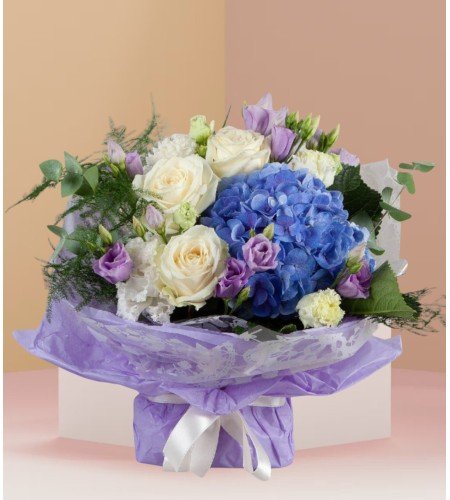 Blue Beauty Blue Beauty