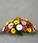 Colourful Casket Spray Colourful Casket Spray