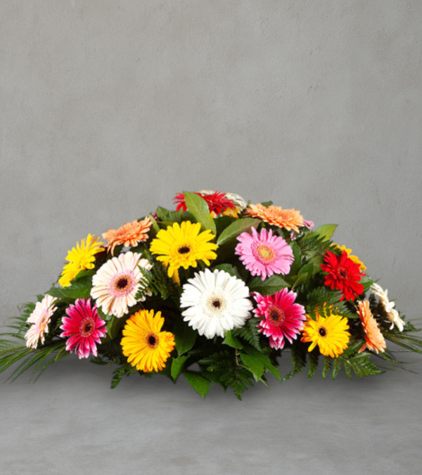 Colourful Casket Spray Colourful Casket Spray