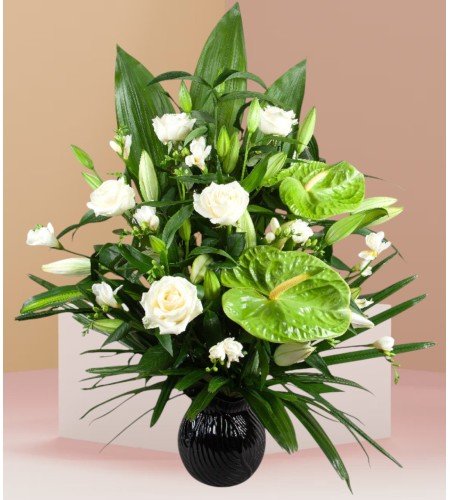 Classic Tribute Classic Tribute