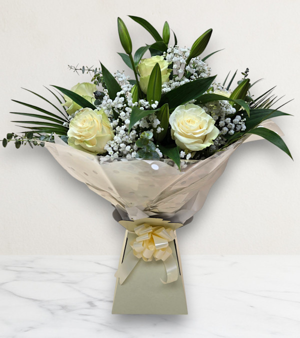 Soft & Elegant Soft & Elegant