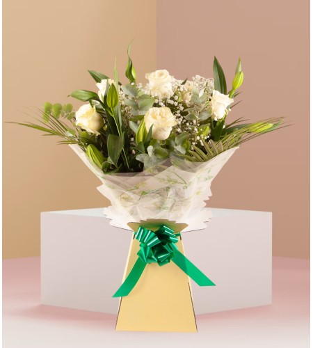 Morning Elation Morning Elation