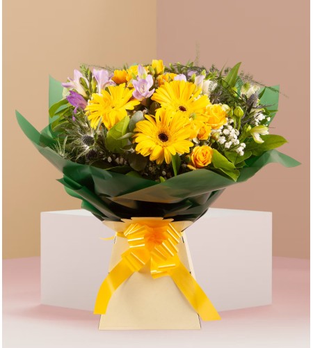 Blooming Delight Blooming Delight