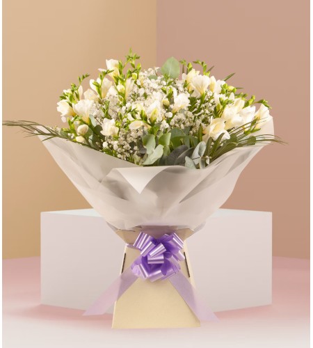 Evergreen Hope Evergreen Hope