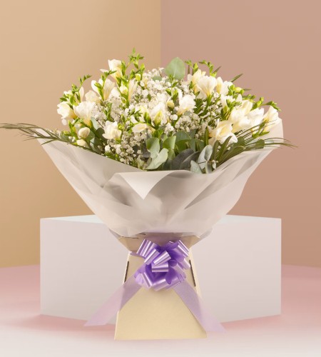 Evergreen Hope Evergreen Hope