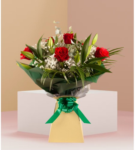 Pastel Solace Pastel Solace