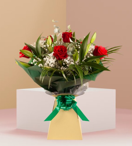 Pastel Solace Pastel Solace