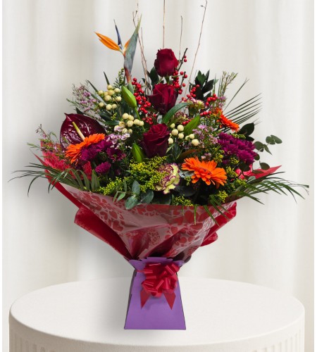 Winter Garden Winter Garden