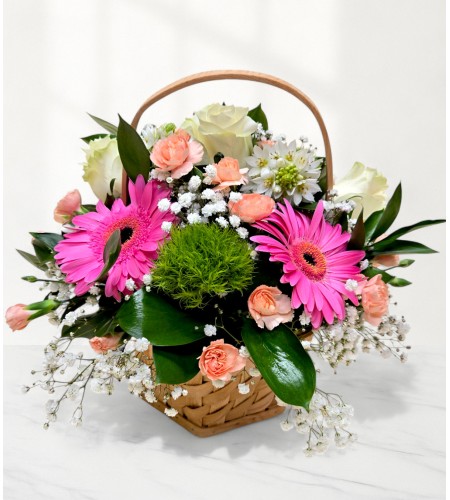 Charming Sunshine Charming Sunshine