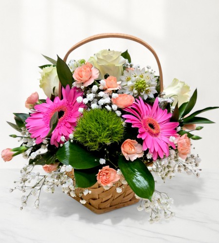 Charming Sunshine Charming Sunshine