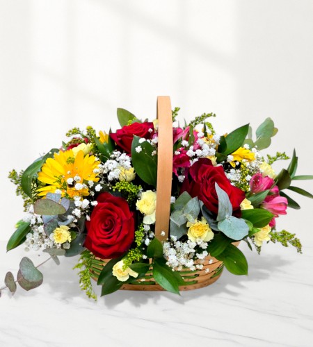 Berry Bloom Berry Bloom