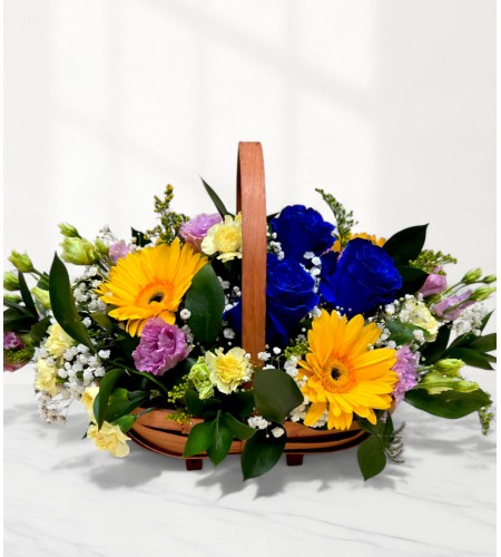 Golden Glow Golden Glow