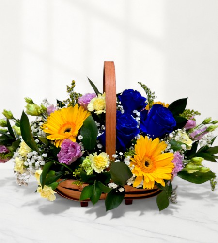 Golden Glow Golden Glow