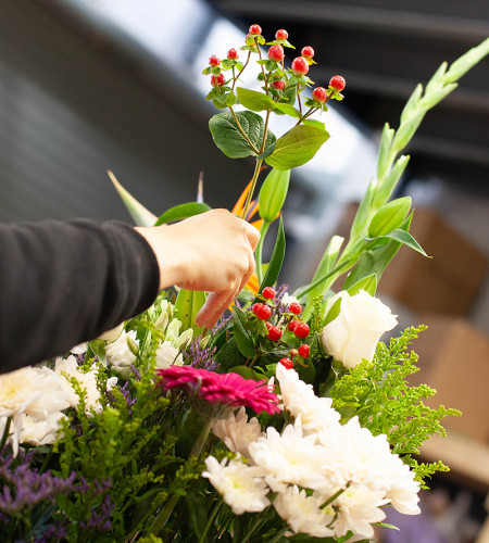  Florist's Choice