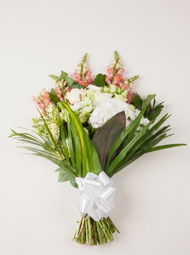 Sympathy Sheaf