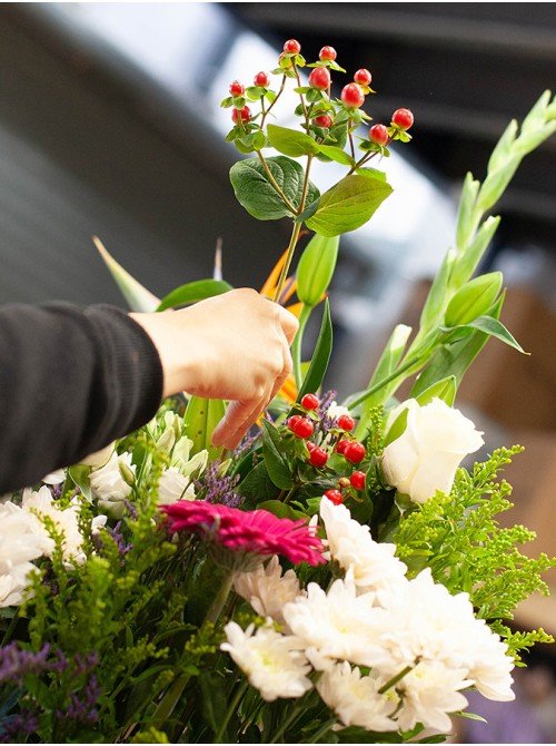  Florist's Choice