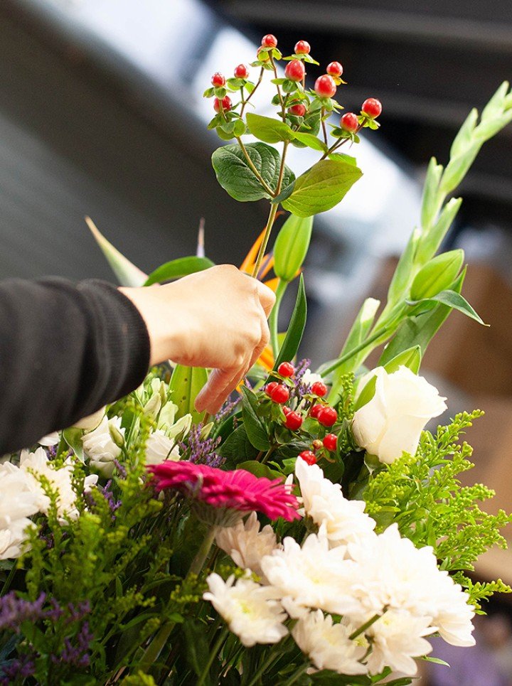  Florist's Choice