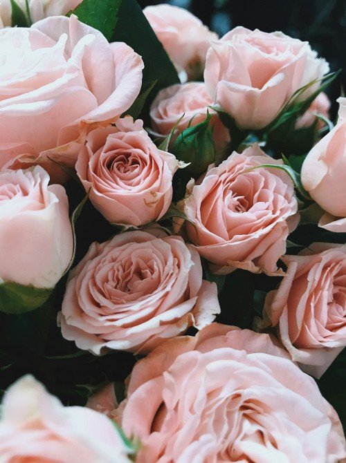 Custom Rose Bouquet