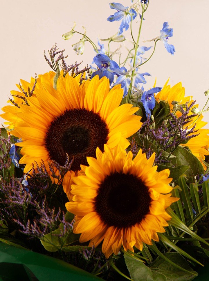 Summer Burst Summer Burst