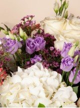 Glamour Glamour