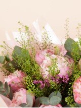 Peony Dream