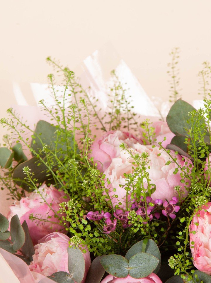 Peony Dream