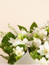 Pure & Beauty