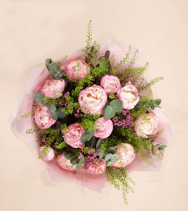 Peony Dream
