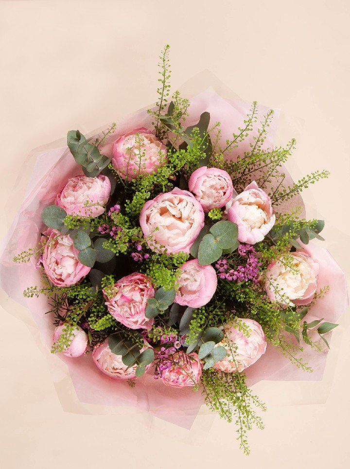 Peony Dream
