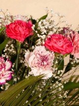Carnations Bouquet