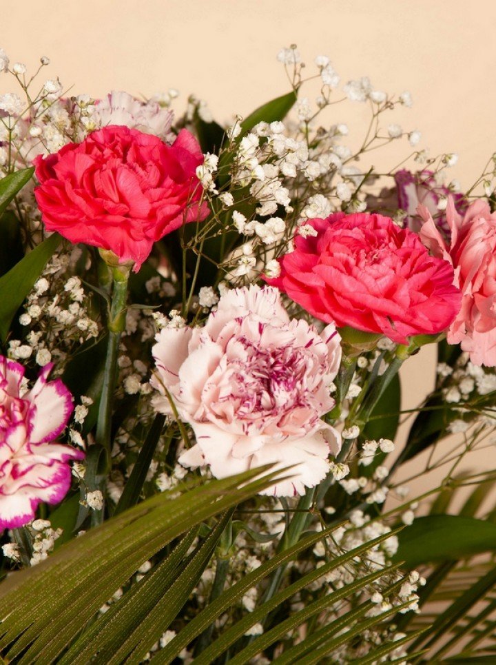 Carnations Bouquet