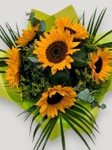 Sunflower Splash