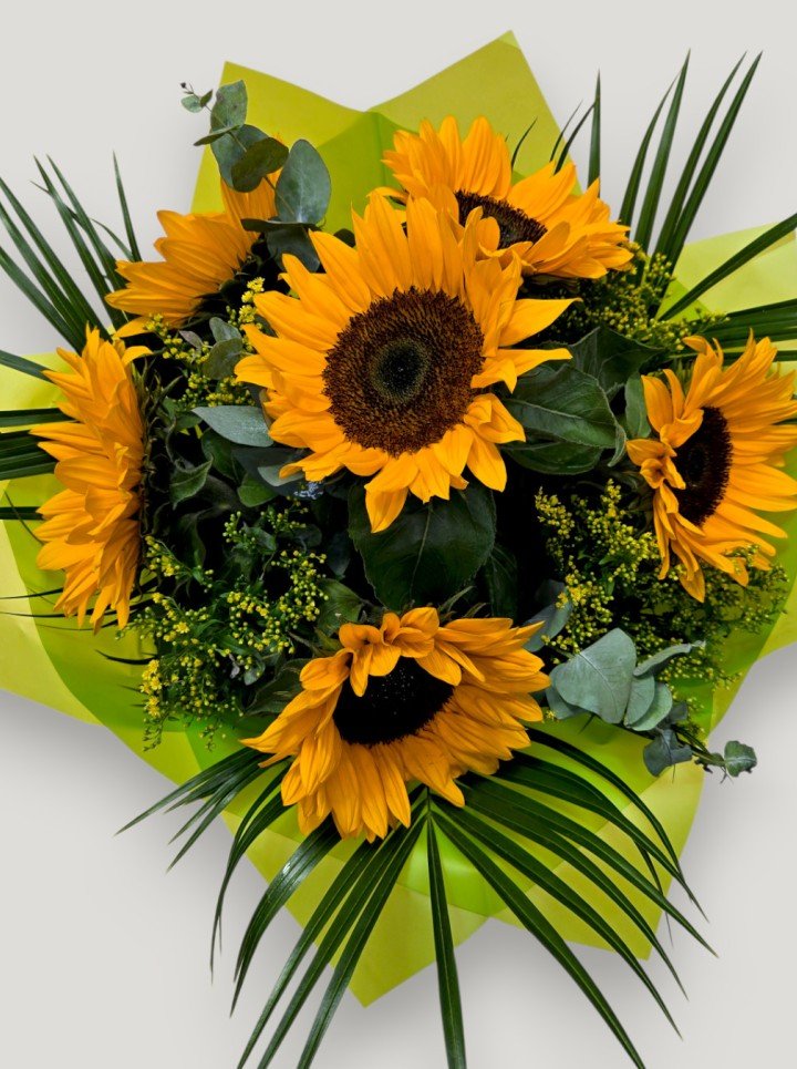 Sunflower Splash