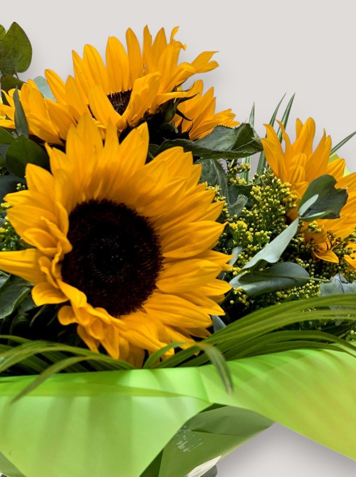 Sunflower Splash