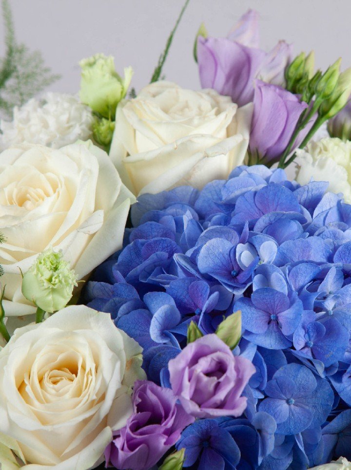 Blue Beauty