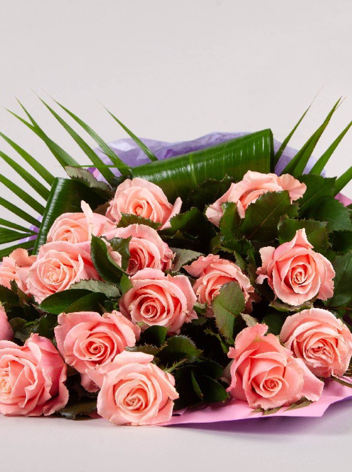 Sympathy Sheaf