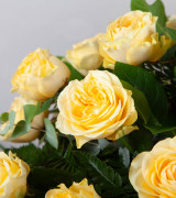 Yellow Casket Spray Yellow Casket Spray