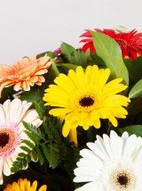 Colourful Casket Spray